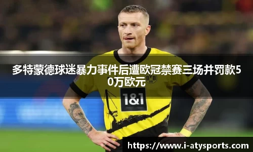 多特蒙德球迷暴力事件后遭欧冠禁赛三场并罚款50万欧元